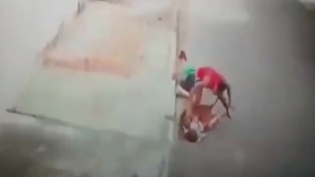  Video: Momento en que un perro pitbull, ataca un ni&ntilde;o de 5 a&ntilde;os 