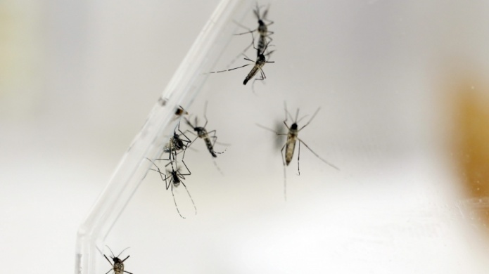 Tres nuevos casos de zika en la semana nÃºmero veintisÃ©is del aÃ±o