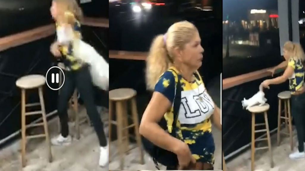  Video: Buscan mujer que maltrato un gato en negocio de Bayam&oacute;n 
