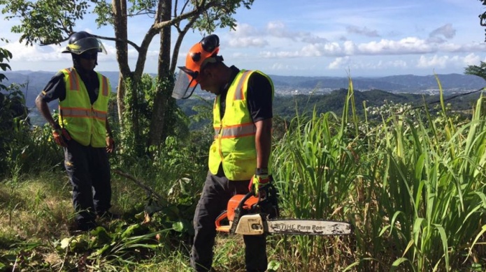 Video: Municipio de Caguas continÃºa recogiendo material vegetativo en carreteras