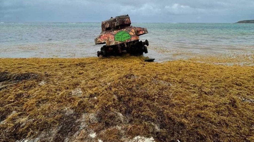  Alertan ante gran acumulaci&oacute;n de sargazo en la tur&iacute;stica playa Flamenco de Culebra: piden al secretario del DRNA que remueva la macroalga de forma urgente 