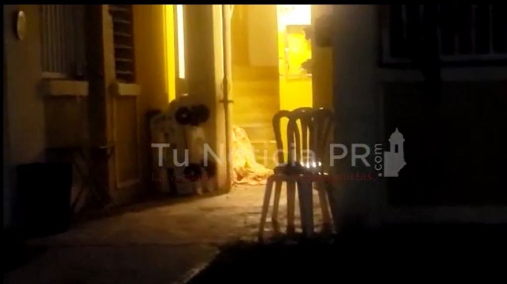  Video: Identifican hombre asesinado en residencial de San Juan 
