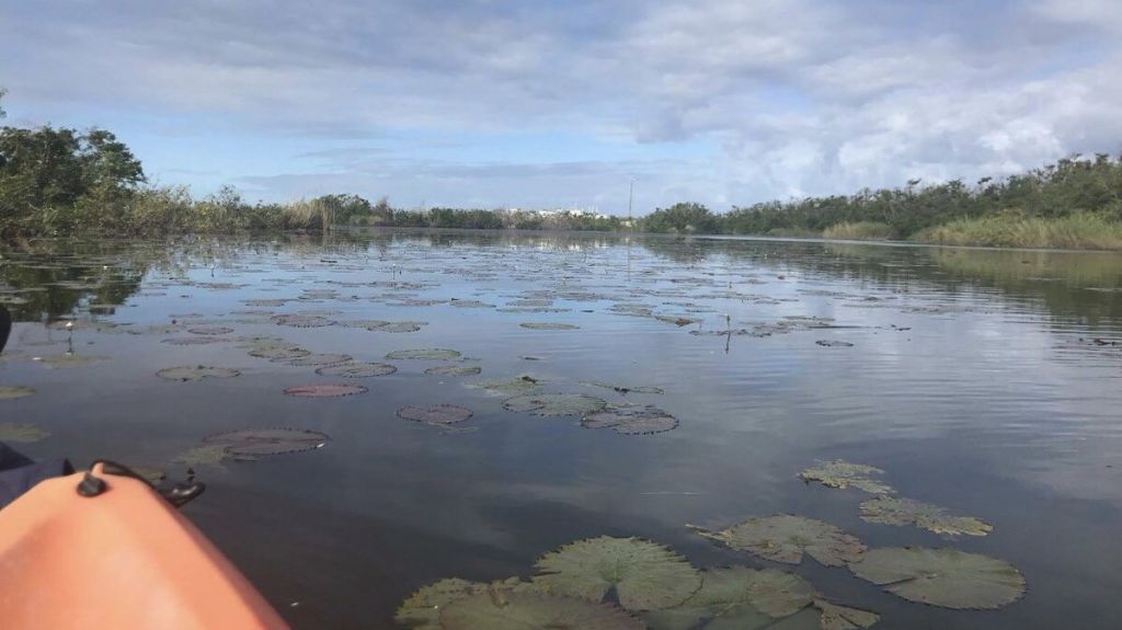  Alegan DRNA y JP no quieren reconocer declaraci&oacute;n reserva natural del Ca&ntilde;o Tiburones 