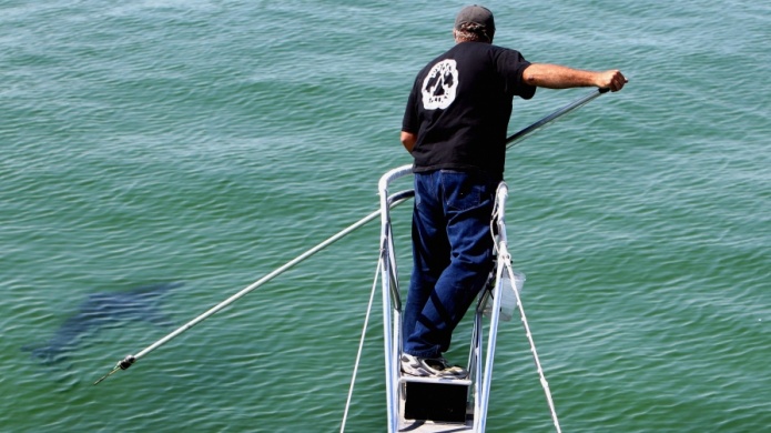 BaÃ±ista atacada por tiburÃ³n en los Cayos es llevado a un hospital de Miami