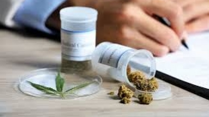 Presentan medida para proteger a pacientes de cannabis medicinal de discriminaciÃ³n en el empleo