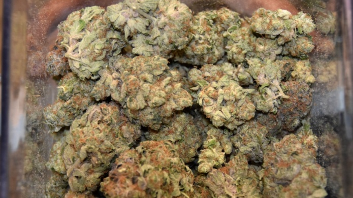 Pareja recibe 65 libras de marihuana dentro de cubos que comprÃ³ por Amazon