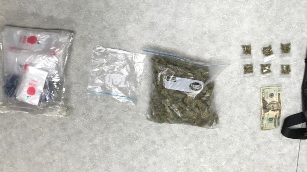  Ocupan media libra de marihuana en antigua vaquer&iacute;a de Manat&iacute; 