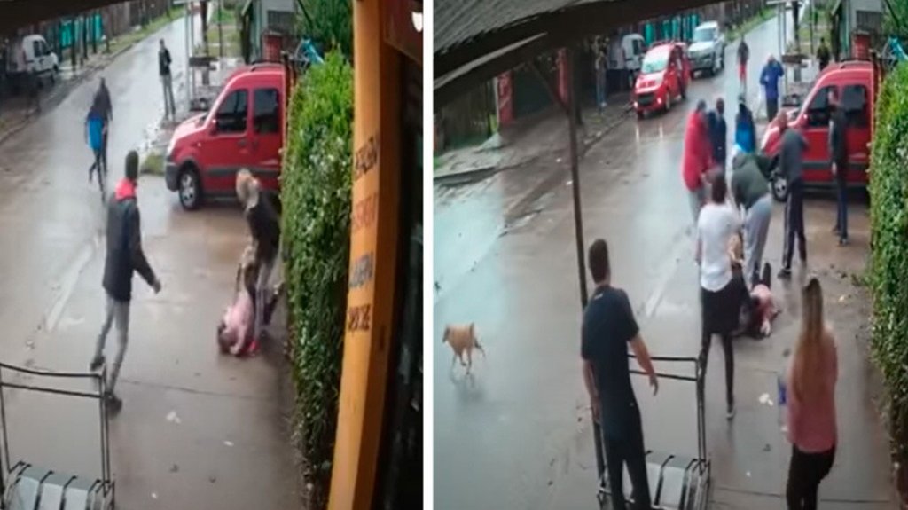  VIDEO: Una mujer intenta salvar a su hija de siete a&ntilde;os de las fauces de un pitbull 