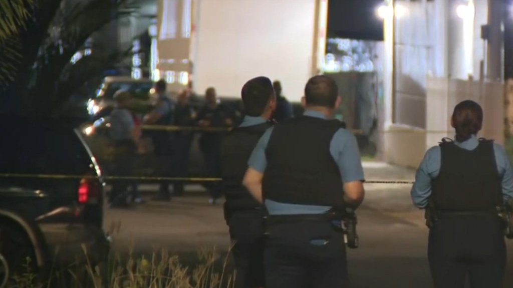  Video de escena donde asesinaron a un hombre en el patio de su residencia en Toa Baja 