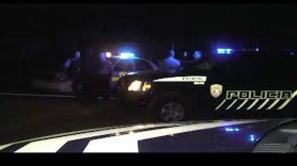  4 caballos muertos luego que conductor en Rio Grande chocara con ellos 