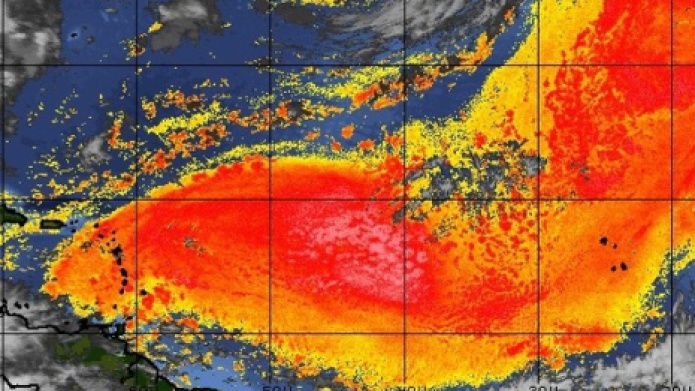 Episodio significativo de bruma y temperaturas calurosas...