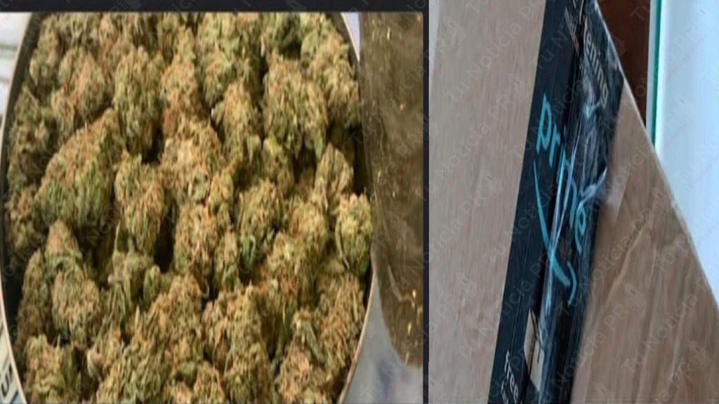  Ciudadano en Arecibo llama a la polic&iacute;a por que le lleg&oacute; una caja con 2 libras de marihuana 