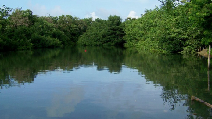 AsociaciÃ³n de Notarios de Puerto Rico apoya el CaÃ±o MartÃ­n PeÃ±a