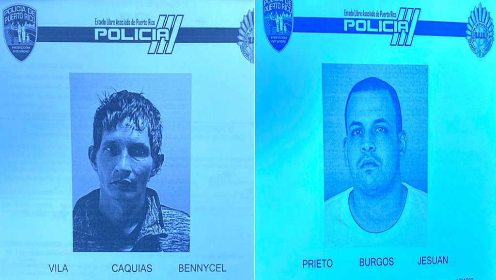  Dos arrestados robando cable de la compa&ntilde;&iacute;a Claro en Jayuya 