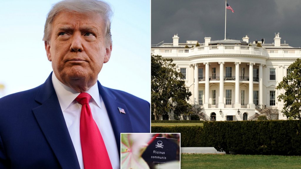  Arrestan a la persona sospechosa de enviar una carta envenenada con ricina a Donald Trump 