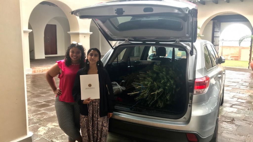  Primera dama obsequia Ã¡rboles de Navidad a hogares de vÃ­ctimas de maltrato  