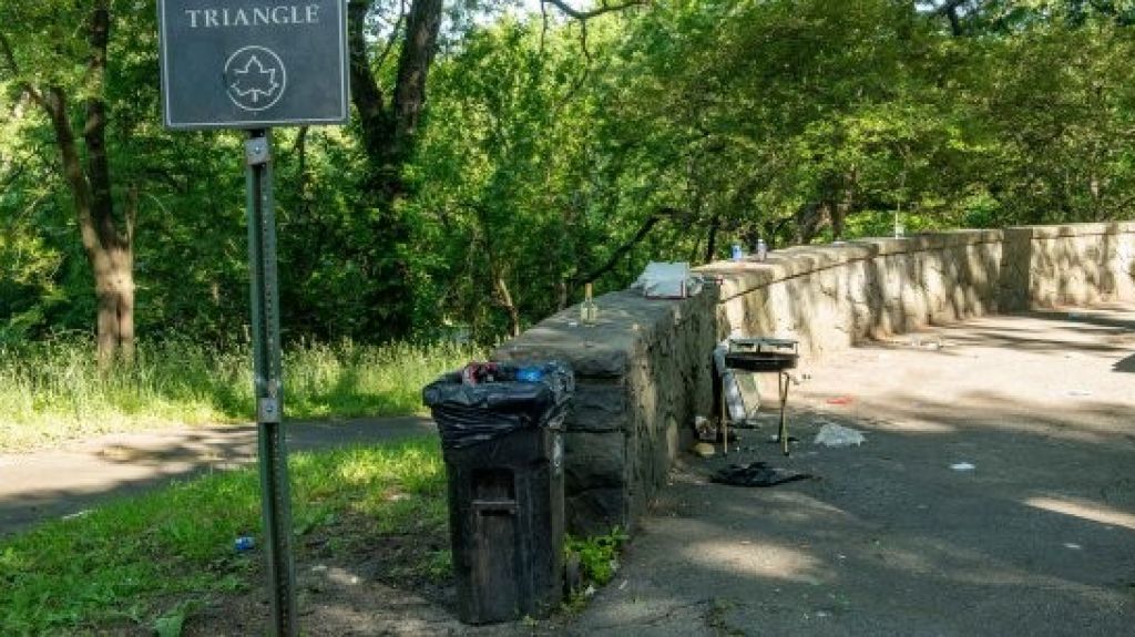  Una adolescente muerta y tres heridos deja balacera en parque de Nueva York 