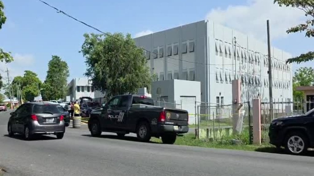  Video de escena donde hombre muri&oacute; atacado por abejas en Toa Alta 