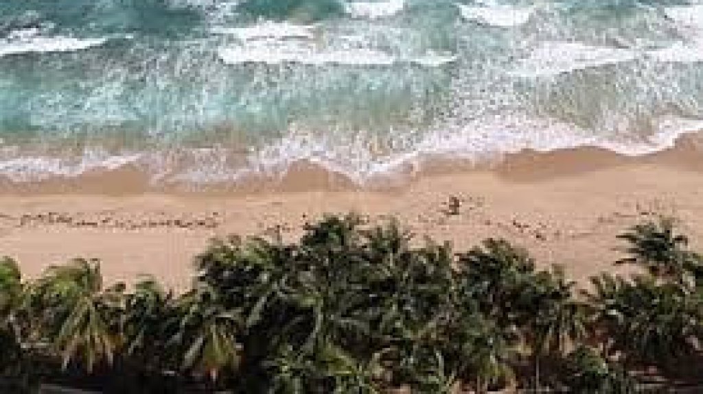  Scuba Dogs Society se prepara para Limpieza Internacional de Costas 2020 