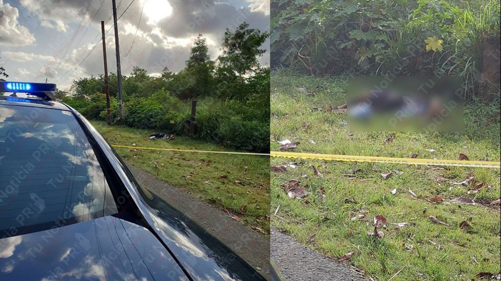  Encuentran en Toa Baja el cuerpo de un hombre tiroteado 