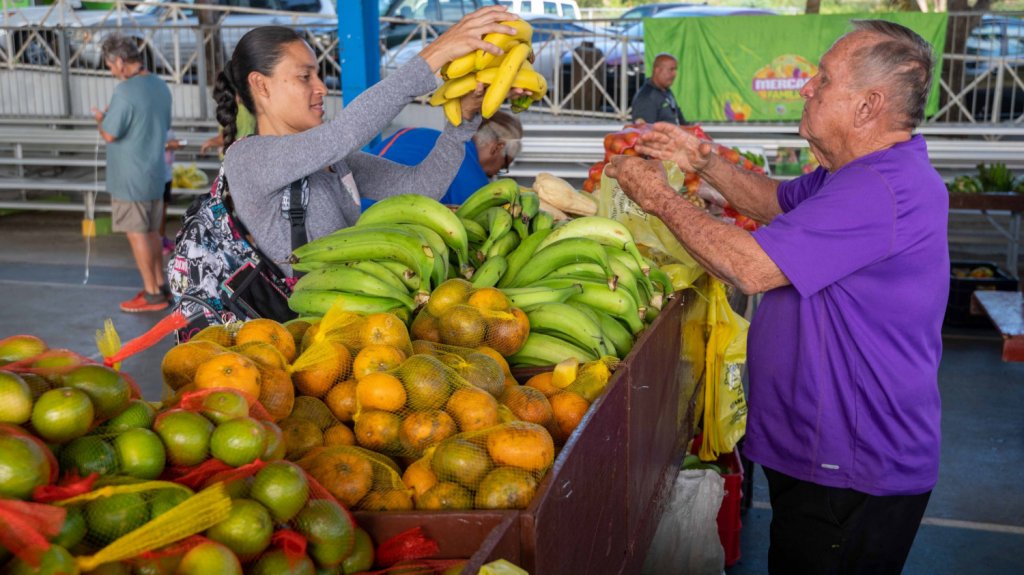  Anuncian calendario para los Mercados Familiares 2023 