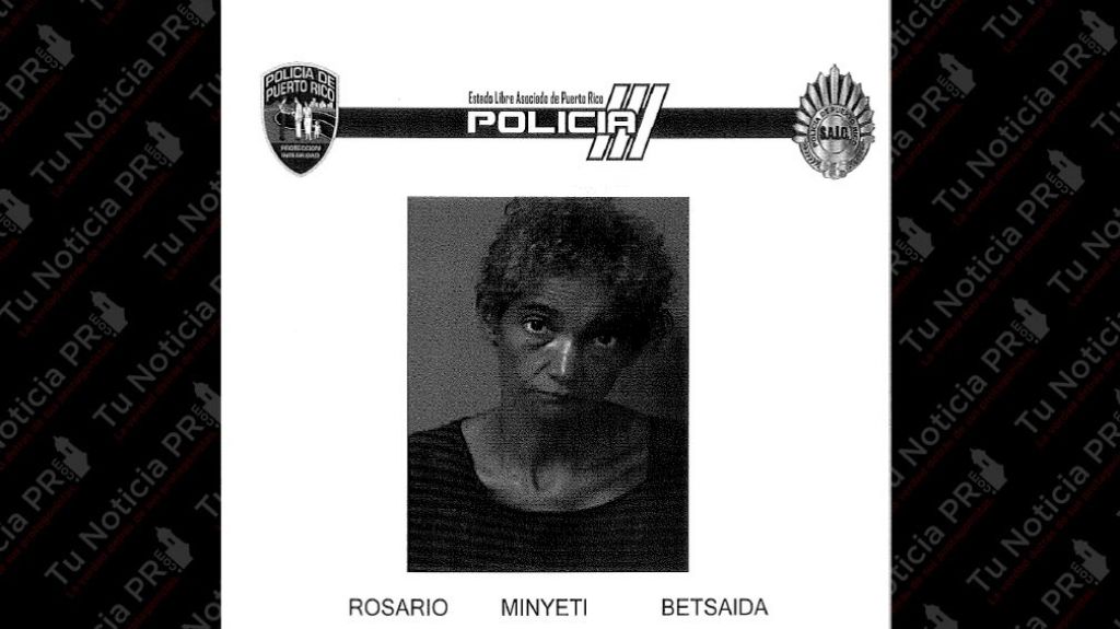  A la c&aacute;rcel mujer de 47 a&ntilde;os que le quito la pistola a un polic&iacute;a en Fajardo 