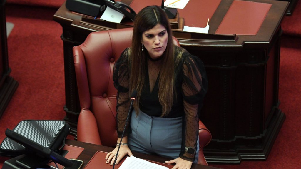  Aprueba el Senado medidas para flexibilizar adopci&oacute;n en el pa&iacute;s, adem&aacute;s de un salario base para los Tecn&oacute;logos M&eacute;dicos 