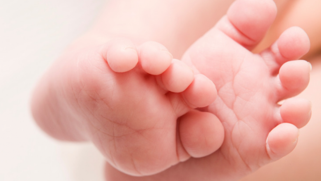  Fallece bebe que cay&oacute; en una piscina en Camuy 