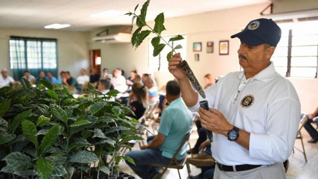  Departamento de Agricultura impulsa la siembra de caf&eacute; en tubetes 