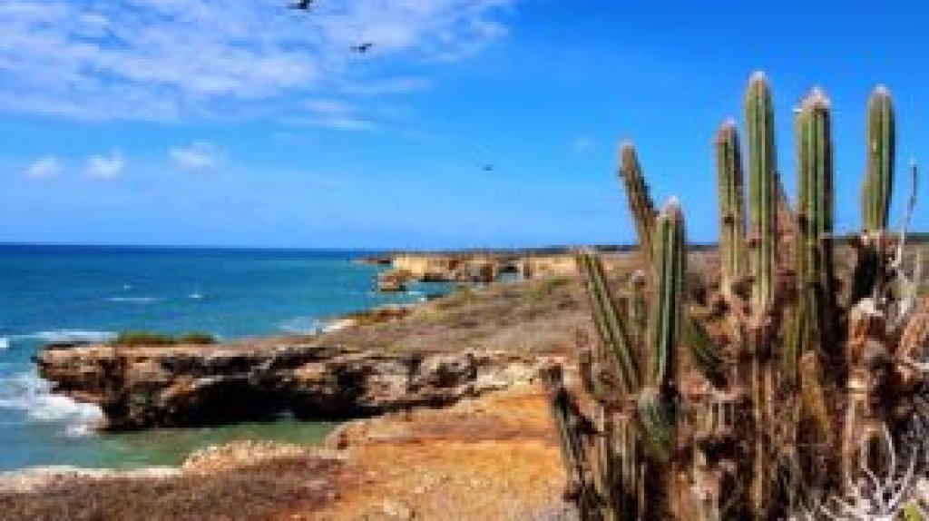  Alcalde se declara en estado de alerta ante propuesta de venta de terrenos protegidos del Bosque Seco de Gu&aacute;nica 