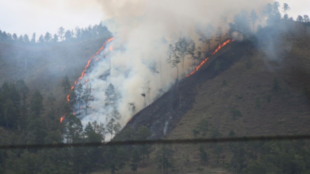  Se registra otro incendio forestal en Constanza 