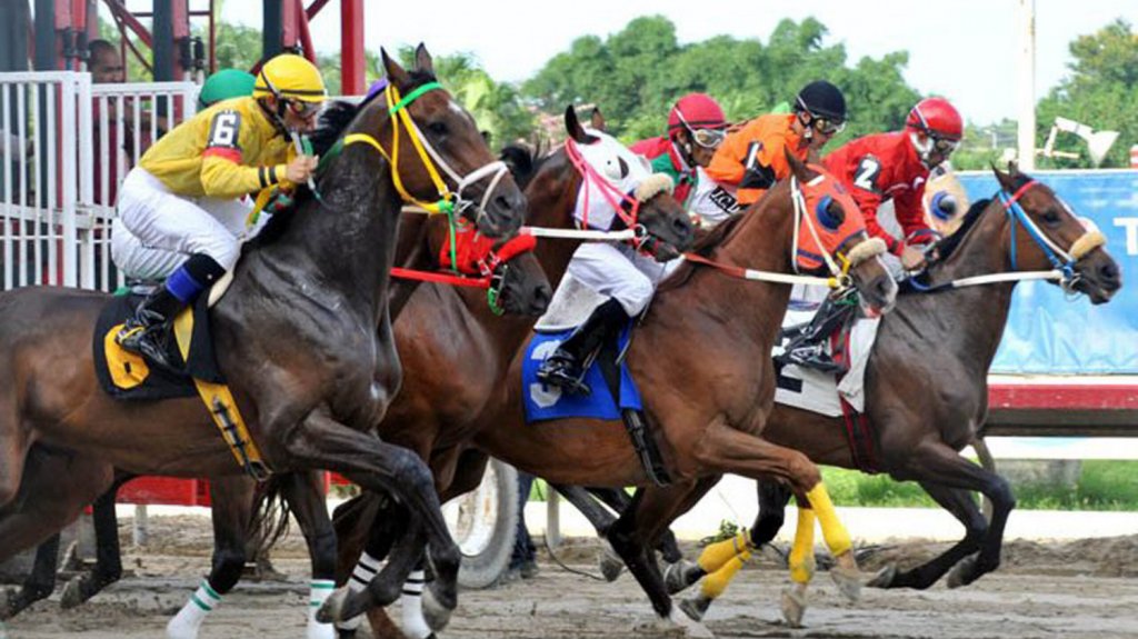  Reabrir&aacute;n el Hip&oacute;dromo Camarero luego de una inversi&oacute;n de $15 millones 