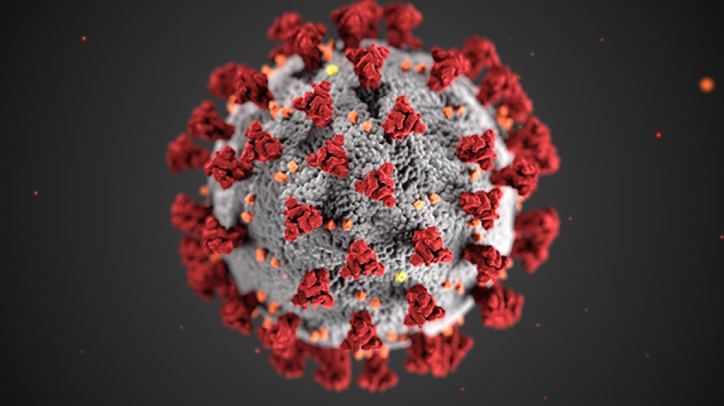  Cobra la vida de un hombre de 52 años el Covid-19 para elevar a 155 las muertes en el país 