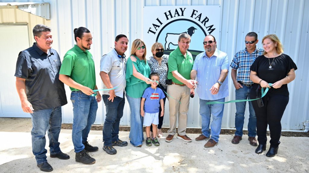  Inauguran planta de carne de cordero y ternera en Lajas 