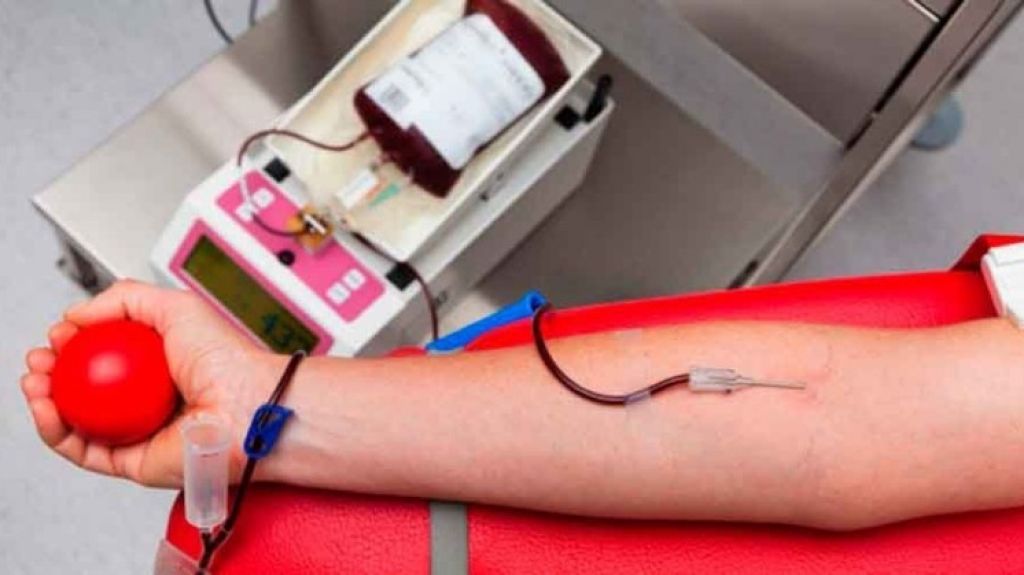  Urgen donantes de sangre para enfrentar crisis en la Isla debido a &ldquo;ca&iacute;da significativa&rdquo; por miedo al coronavirus 