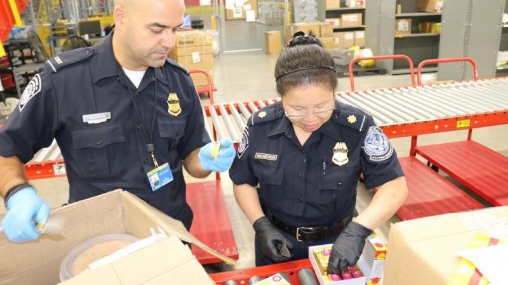  Federales reforzar&aacute;n desde el viernes inspecciones contra virus de la fruta rugosa del tomate marr&oacute;n 
