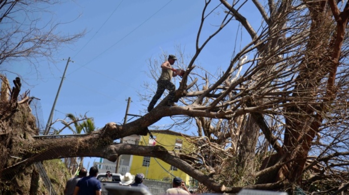 Confinados que se dedican a elaborar artesanÃ­as utilizarÃ¡n la madera que destruyÃ³ MarÃ­a