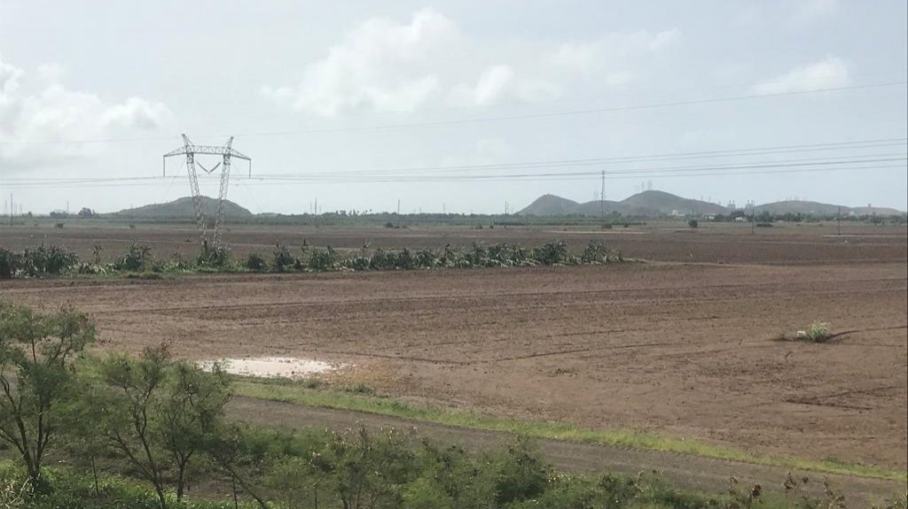  Beneficiarios del programa del PAN y del plan de salud no pierden beneficios al sumarse a iniciativas laborales agr&iacute;colas 