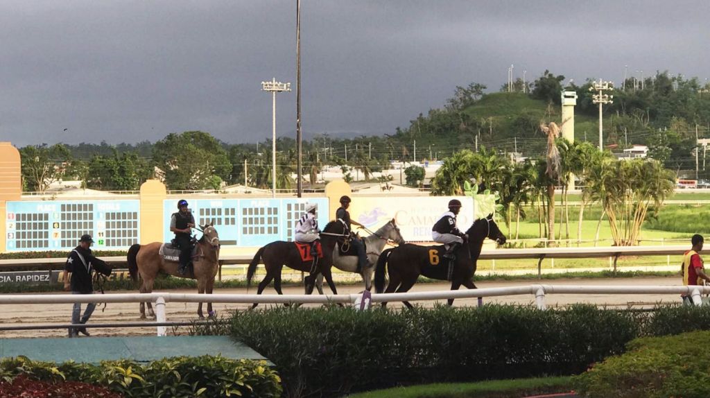  Industria h&iacute;pica retoma actividades en Puerto Rico 