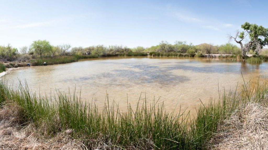  Un manantial hist&oacute;rico de Arizona entre primeras v&iacute;ctimas del muro de Trump 