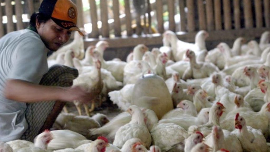  Industrias alimentos de Puerto Rico y regi&oacute;n mejoran la producci&oacute;n con el COVID-19 