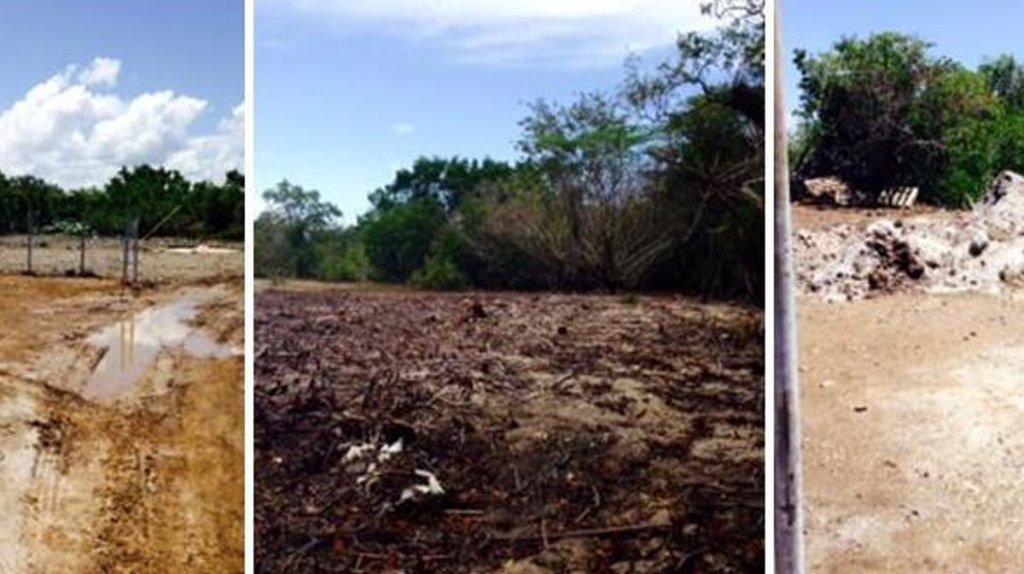  Apunta el PNP hacia el municipio de Salinas en construcci&oacute;n ilegal de Las Mareas 