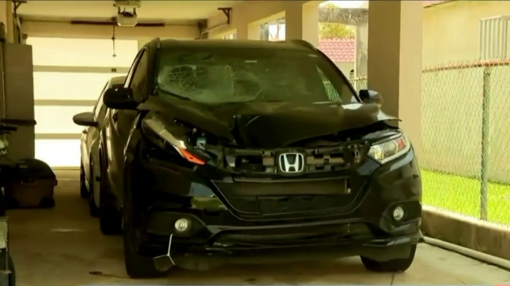  Video: Polic&iacute;a busca ocupar guagua involucrada en atropello de peat&oacute;n en Dorado 