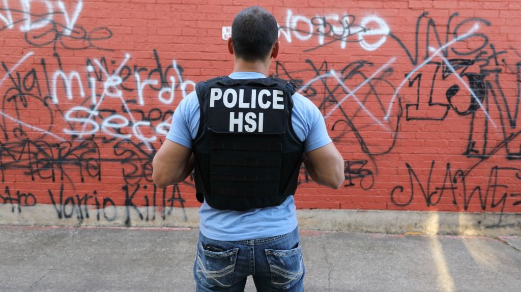 Detienen 267 pandilleros de la Mara Salvatrucha en EEUU y en El Salvador