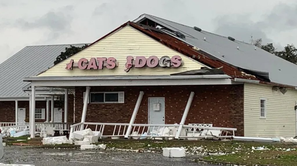 Video: Se reporta tornado en Ocala, Florida 