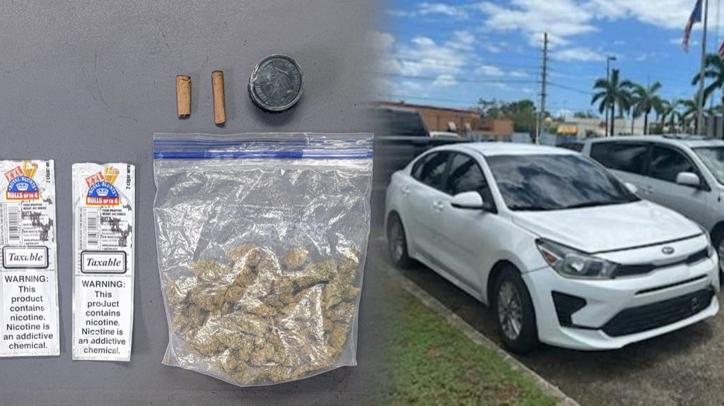  Dos mujeres arrestadas en Mayag&uuml;ez, iban &ldquo;volando bajito&ldquo; y le ocupan marihuana 