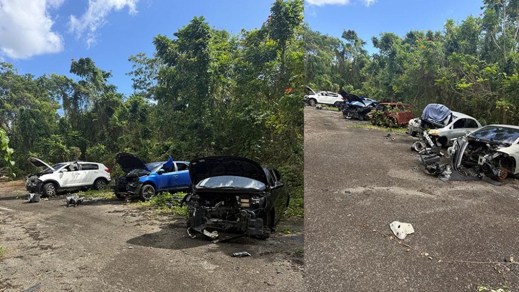  Video: Polic&iacute;a encuentra cementerio de carros en Dorado 