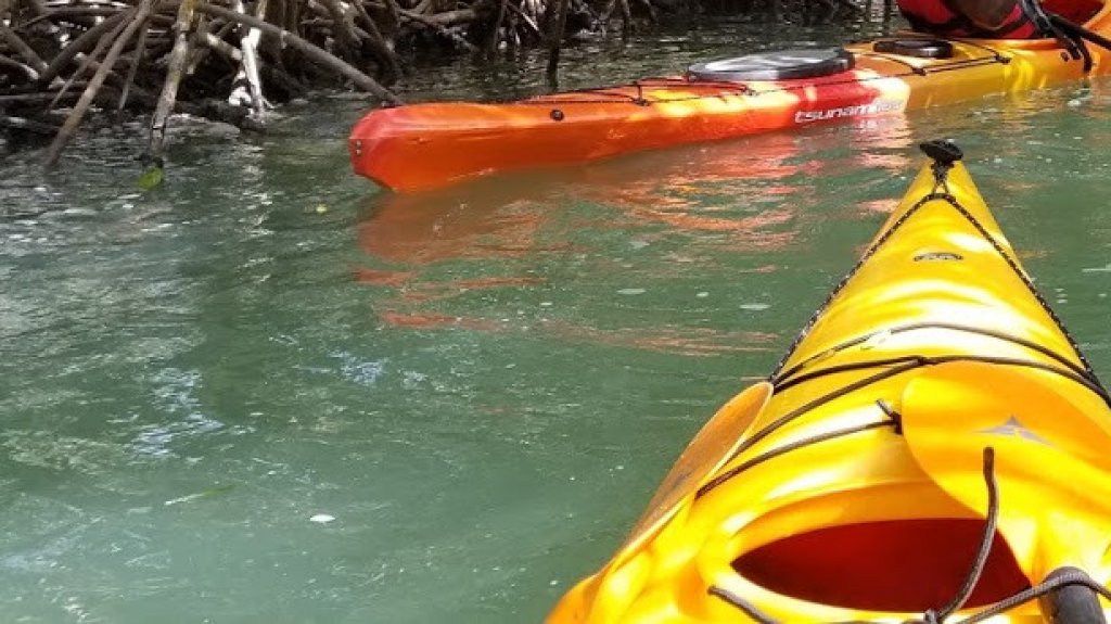  Sujeto que navegaba en kayak muere ahogado en cayo Parguera de Pe&ntilde;uelas 