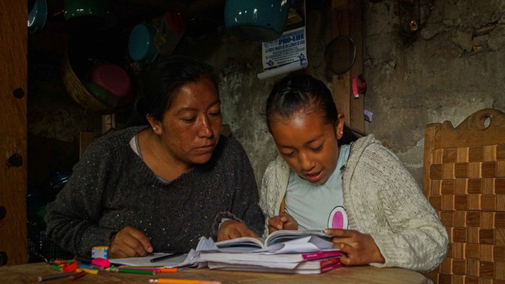  El reto de educar los hijos a distancia en M&eacute;xico sin saber leer ni escribir 