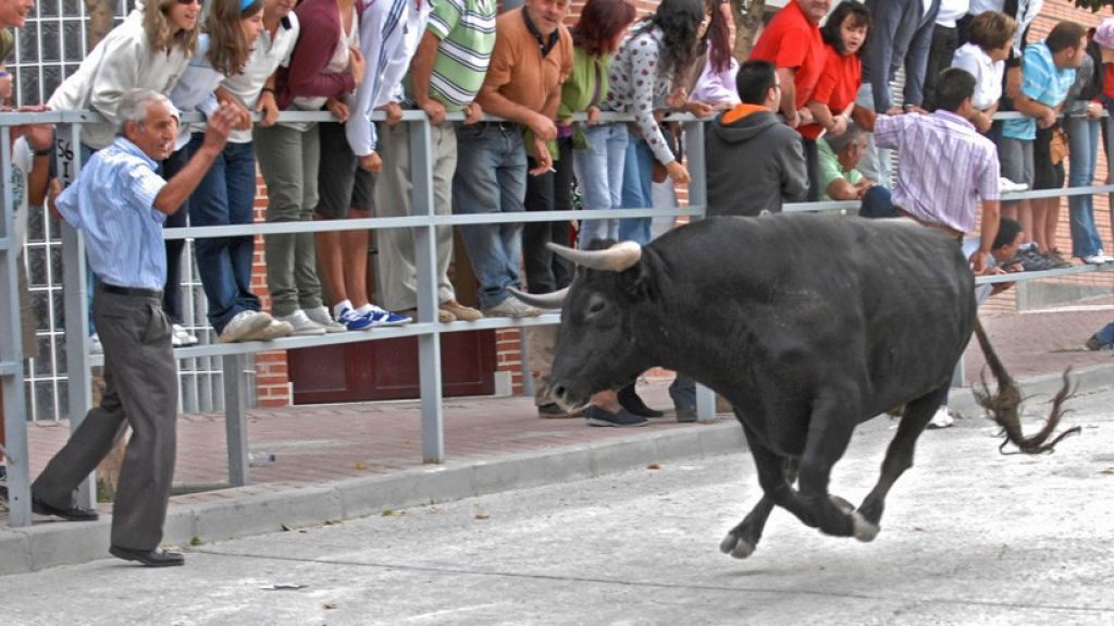  VIDEO: Un toro estampa y cornea seis veces a un hombre durante un encierro en Espa&ntilde;a 